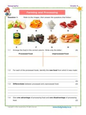 cover image of Grade 4 Geography Test: Farming and Processing